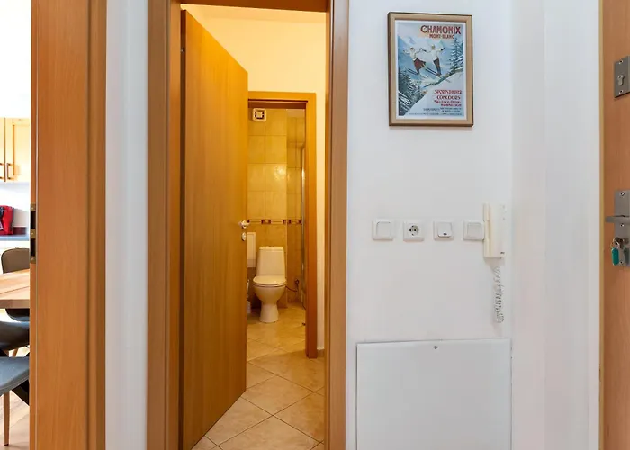 公寓 'chamonix' In - 1 Bedroom - In&out - Free 班斯科